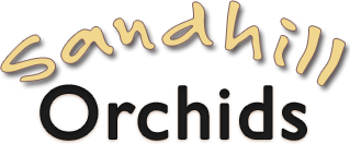 SandhillOrchidsLogo